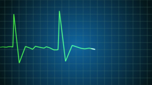 VERCIDA is changing the beat of the job search