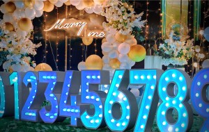 OEM luminous channel letters sign supplier from China1