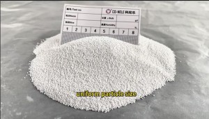 CO NELE Lithium Carbonate Pelletizer 1