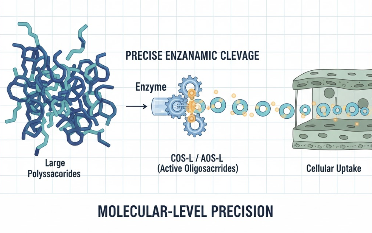 MOLECULAR LEVEL PRECISION