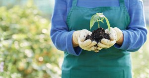 reliable foundation for sustainable farming