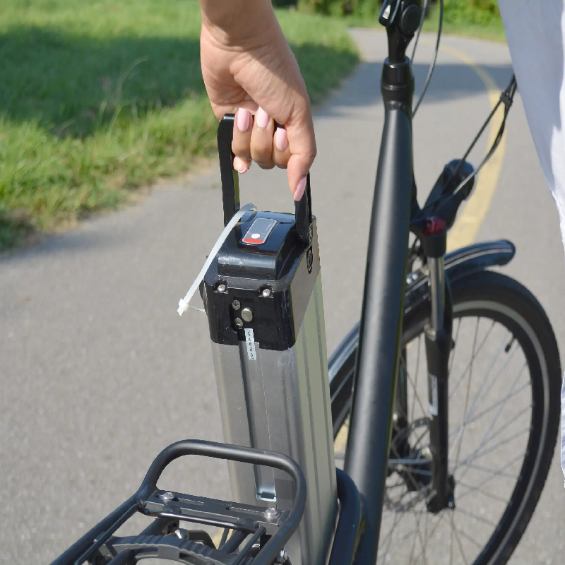 Custom Ebike Battery Custom Ebike Battery