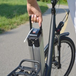 Custom Ebike Battery