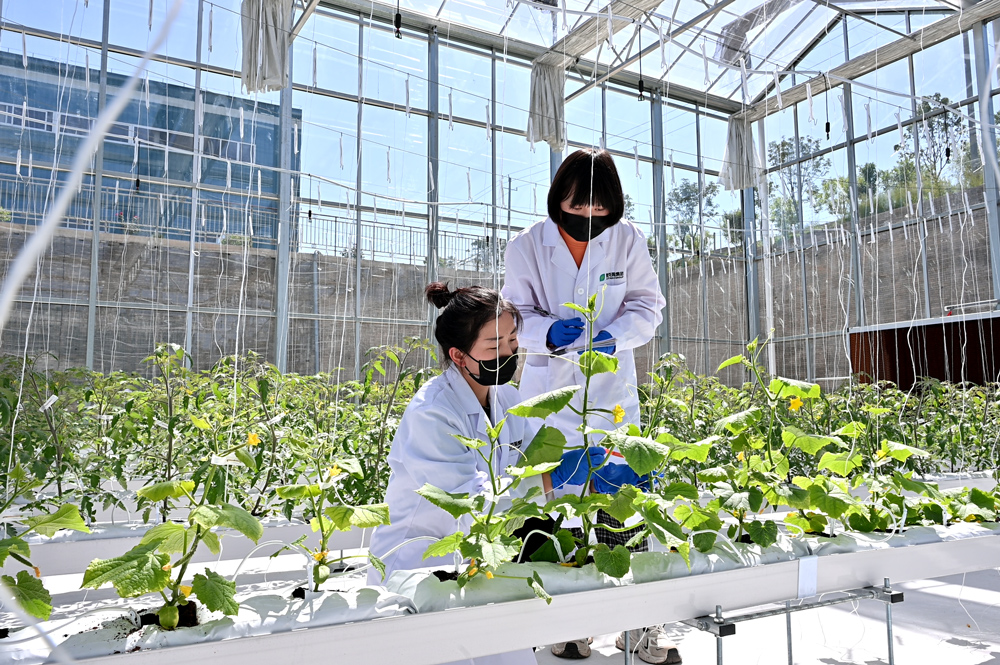 Field Trial Evidence