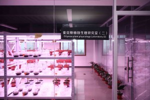 Certified Biostimulants Factory