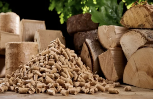 Top 10 Biomass Pellet Machine Manufacturers In China