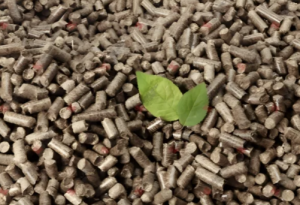 Global Leading Biomass Pellet Production Line Provider