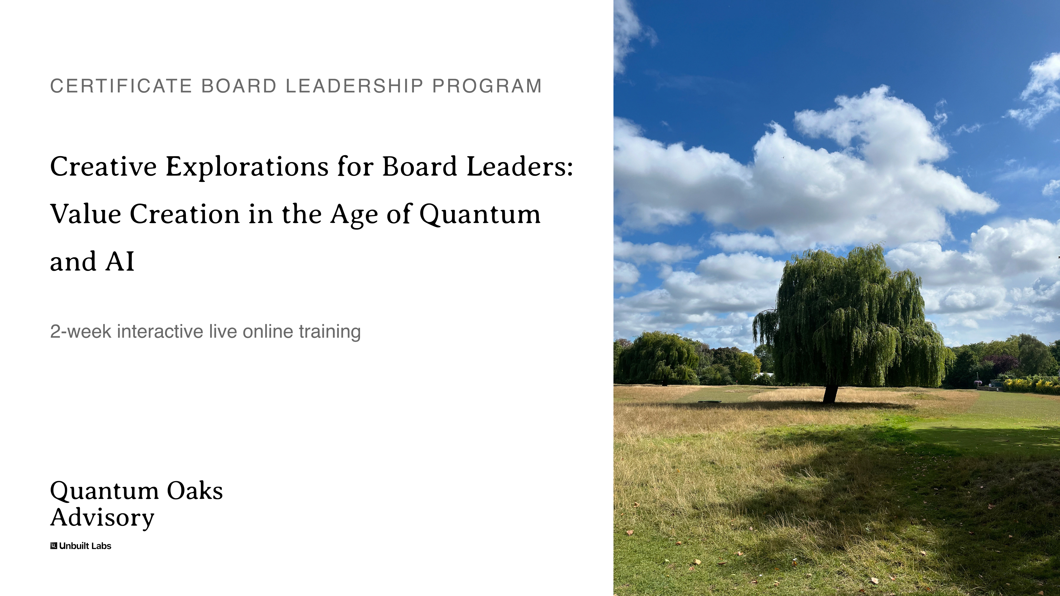 What’s the Best Quantum Literacy Course for Board Members and Executives in 2026?