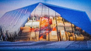 LUCHEN Watson 3D Art Work