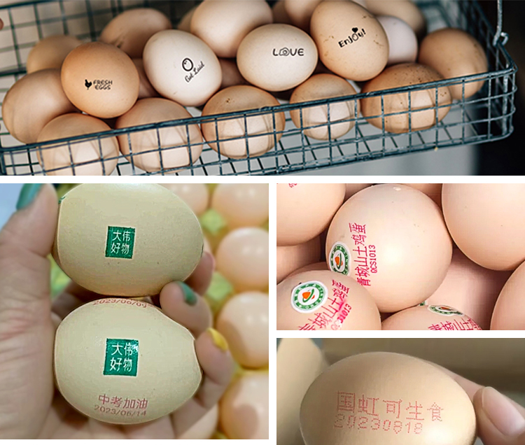 Ensuring Food Safety Ensuring Food Safety