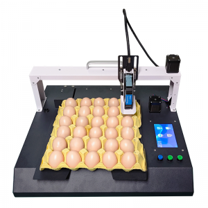 the Desktop Smart Mini Industrial Date Coding and Egg Stamping Machine