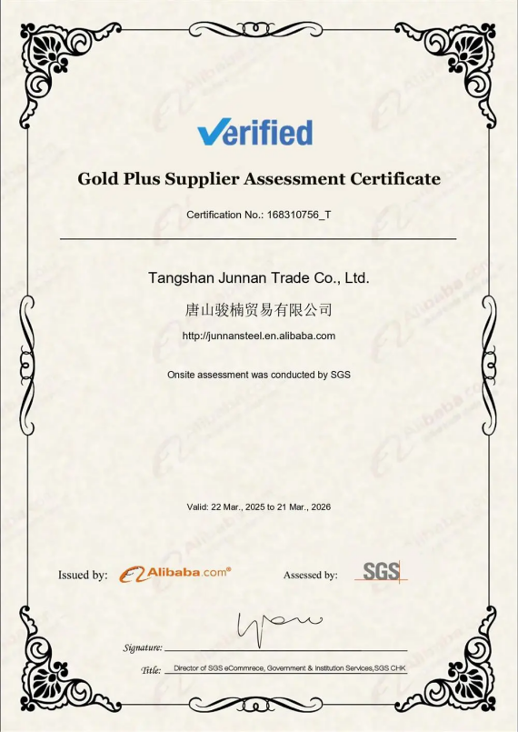 SGS Audit SGS Audit