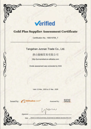 SGS Audit