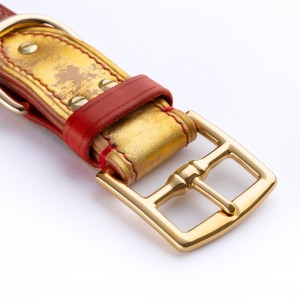 Luxury Dog Collar