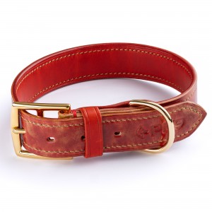 Shell Cordovan Dog Collar