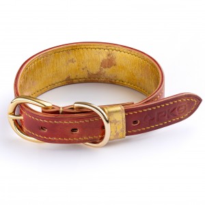 Year Of The Horse Dog collar