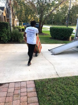 Southeast Elite Movers