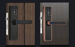 Global Leading Fingerprint Door Lock Exporter