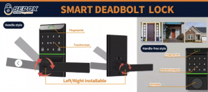 TOKING: Setting the Global Leading Standard for Professional Smart Lock Manufacturer Excellence