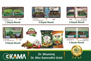 Dr. Bhumiraj Organic Fertilizer Shows Superior Growth Results Over DAP