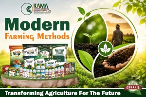 Innovative Organic Farming Solutions for Higher Productivity