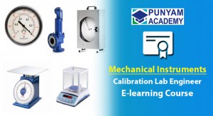 Punyam Academy has received excellent Feedbacks for the Instrument Calibration training Online Courses