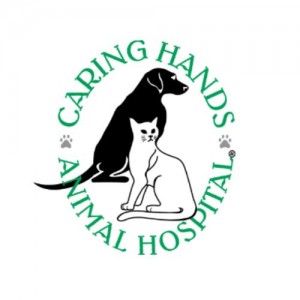 Caring Hands Animal Hospital - Clarendon