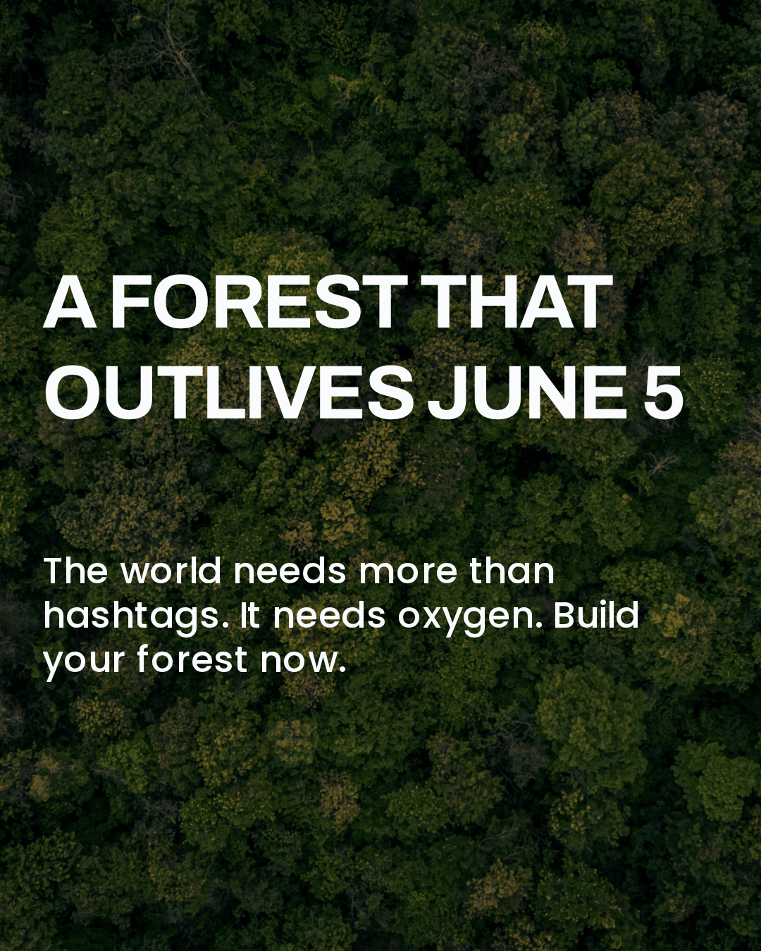 5 june 2026 world environment day un date