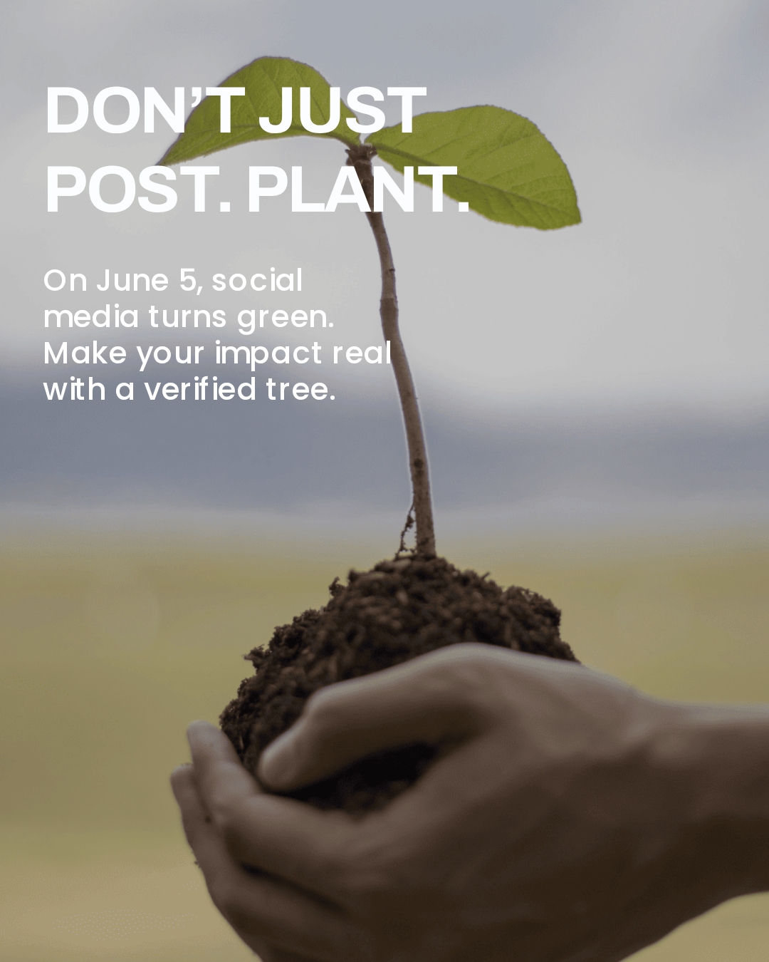world environment day