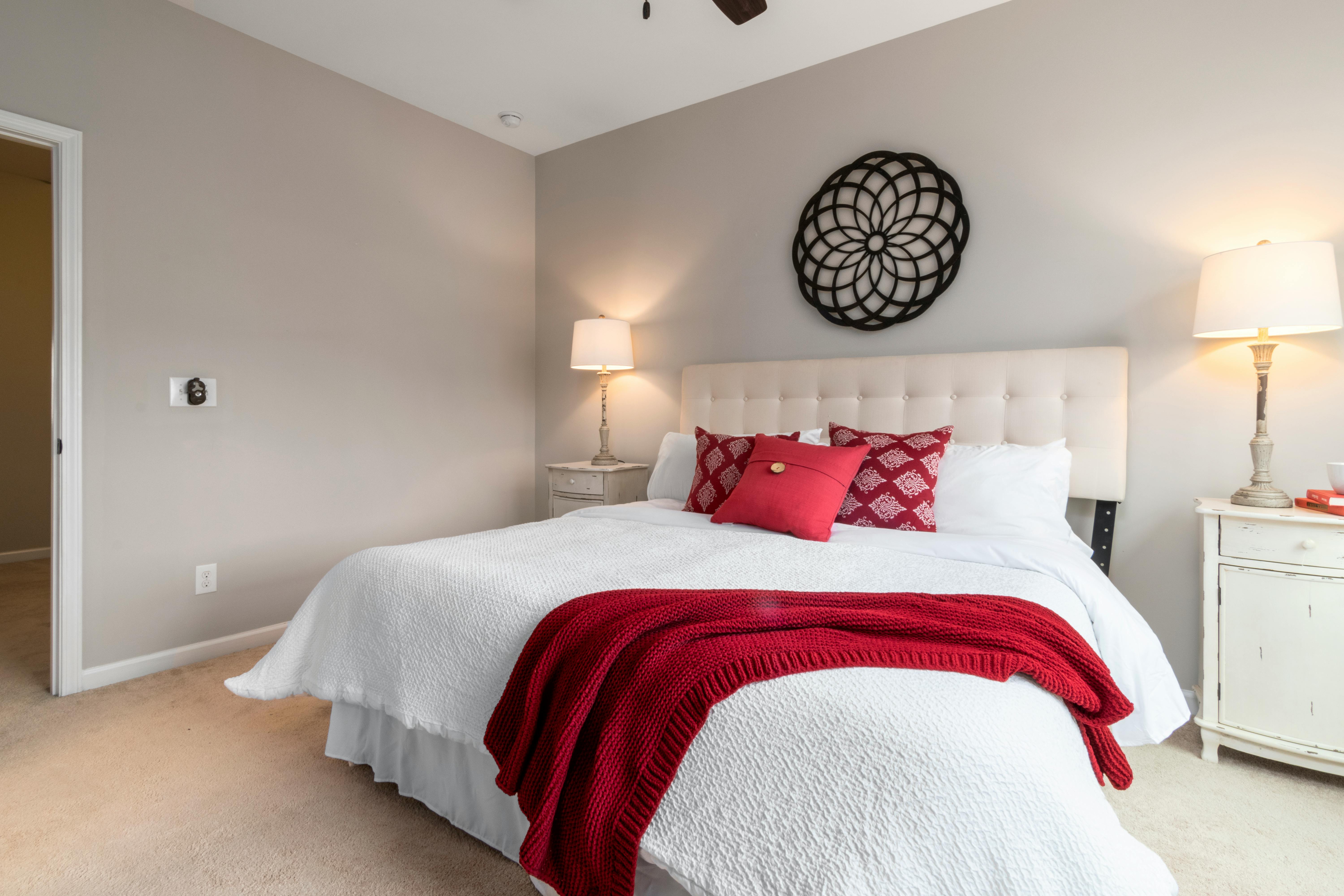 Bedworld Perth Launches Biggest Bed Frame Collection to Date