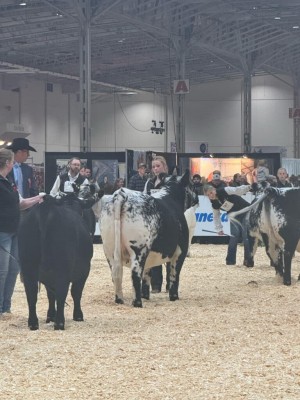 Why Farms Like Trestle Creek Are Using Speckle Park Beef to Meet Consumer & Market Demands