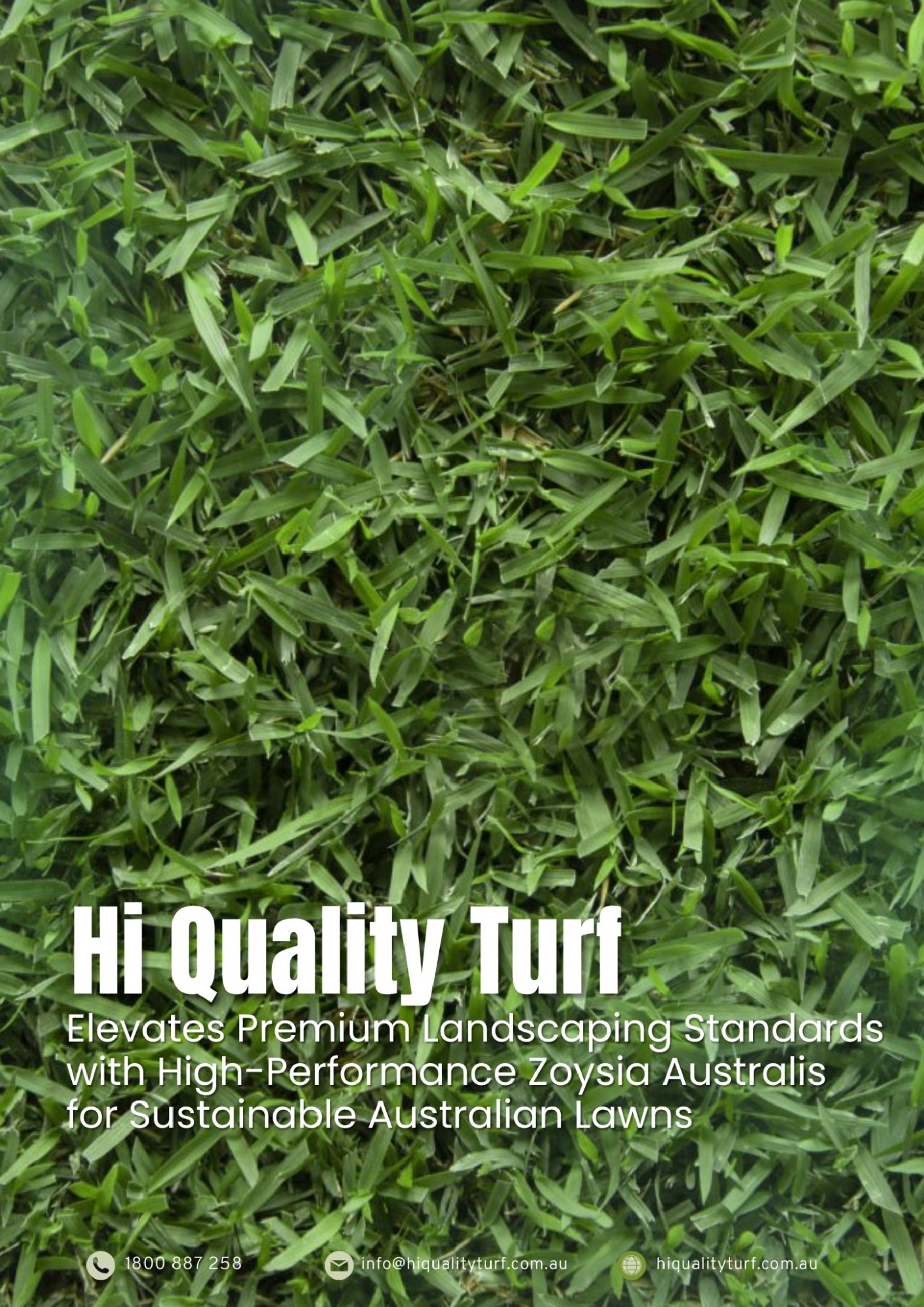 Hi Quality Turf Elevates Premium Landscaping Standards with High-Performance Zoysia Australis