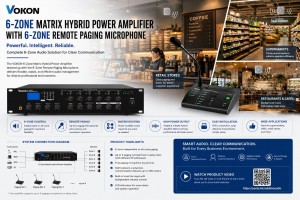 6 Zone Matrix Hybrid Power Amplifier