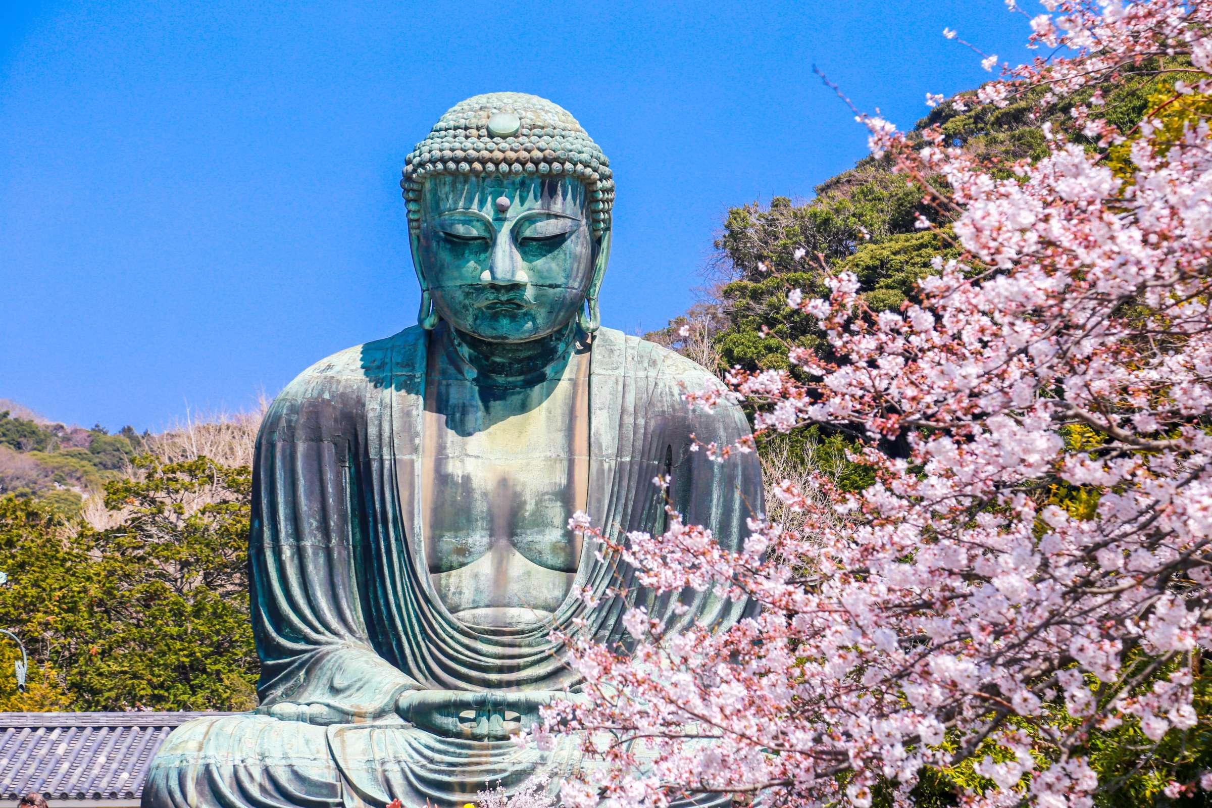 Private Japan tours 2026 from Singapore 2 Private Japan tours 2026 from Singapore 2