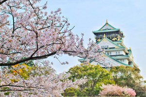How to Choose Japan Trip Packages 2026 from the Philippines – Diper Tour Guide