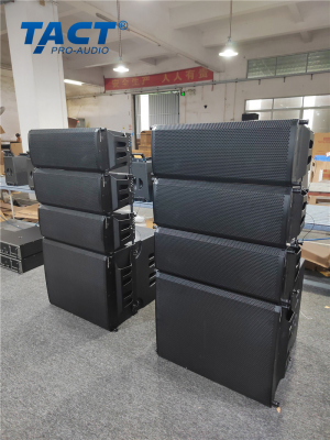 Professional Line Array Speaker Supplier