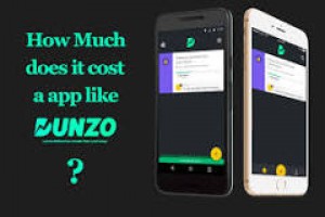 Hyperlocal delivery Market app development cost