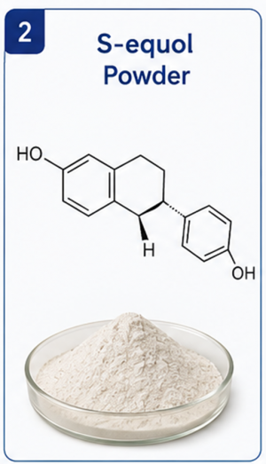 99 Purity HPLC tested S equol Powder Supplier