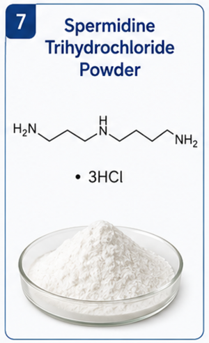 Pharma Intermediates Spermidine Trihydrochloride Powder Manufacturer