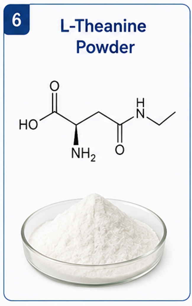 Food Grade L Theanine Powder Bulk Food Grade L Theanine Powder Bulk