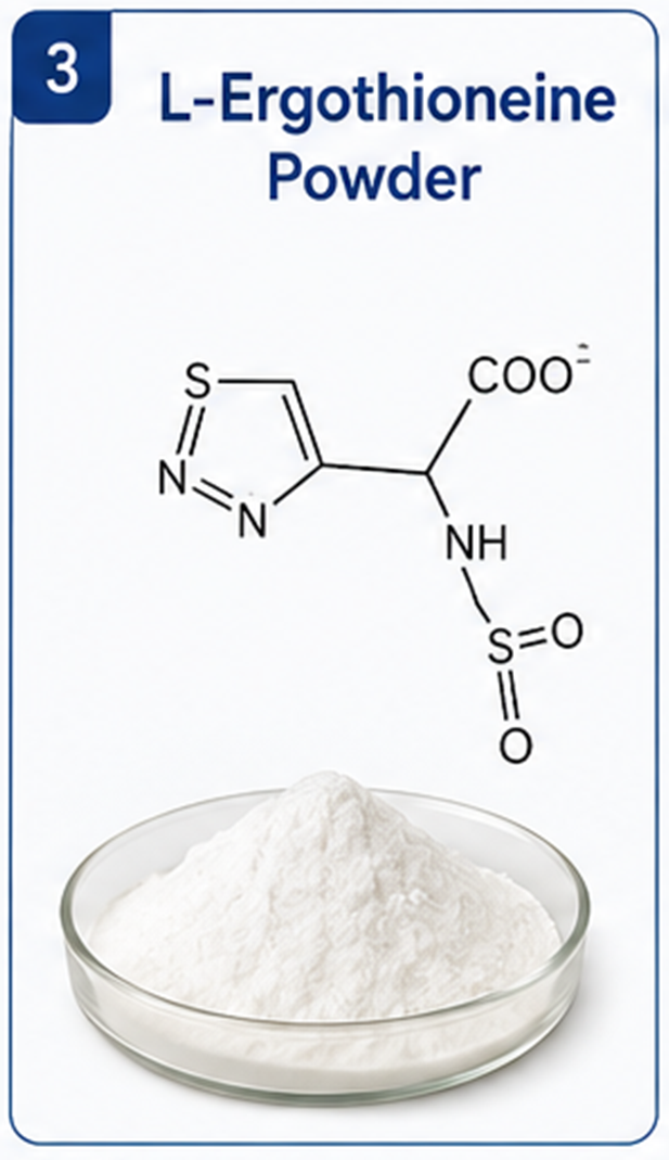 Raw Materials L Ergothioneine Powder Supplier Raw Materials L Ergothioneine Powder Supplier