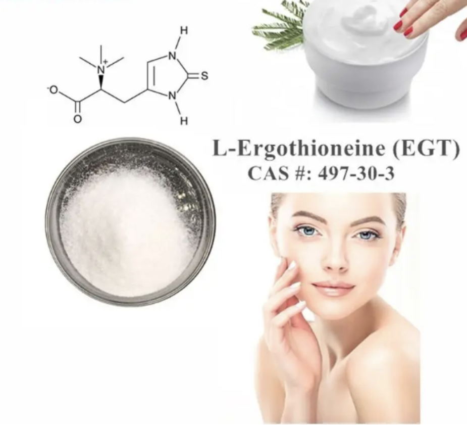 Raw Materials L Ergothioneine Powder Raw Materials L Ergothioneine Powder