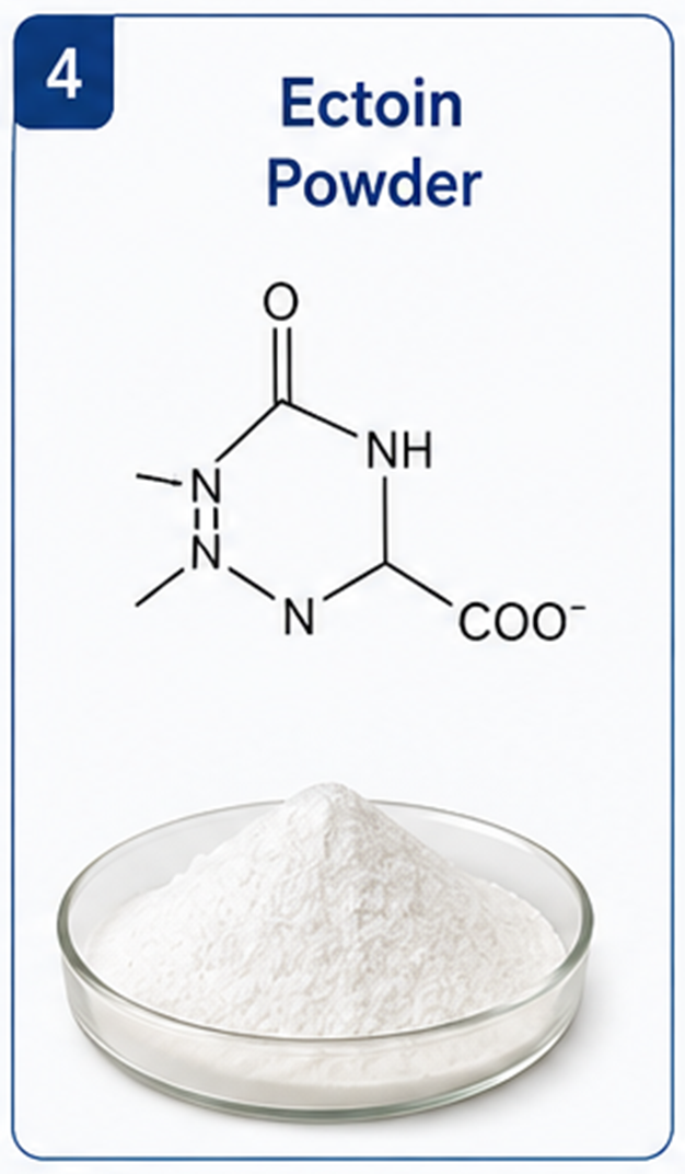 Cosmetic Raw Materials Ectoin Ingredient Supplier