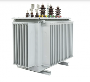OEM Oil Immersed Transformer