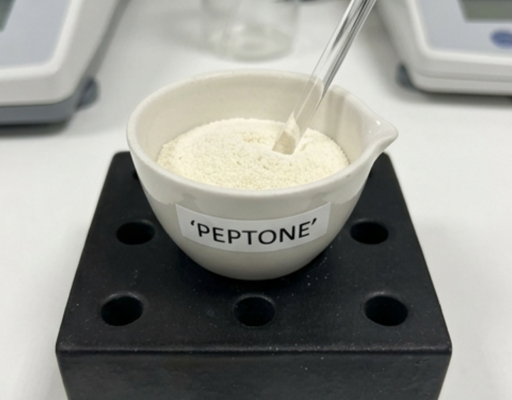 Peptone on Organic Liquid Fertilizer Formulas