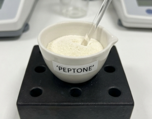 Peptone on Organic Liquid Fertilizer Formulas