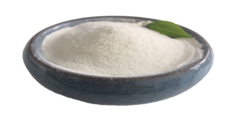 Protein Supplier for Meat Sausage Production Protein Supplier for Meat Sausage Production