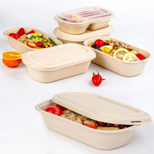 Disposable Food Containers Manufacturer