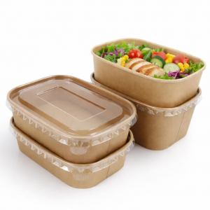 Eco friendly Disposable Food Containers