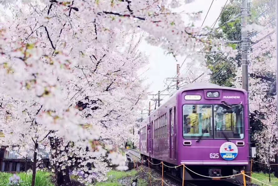 Japan vacation packages 2026 from Osak 1 Japan vacation packages 2026 from Osak 1